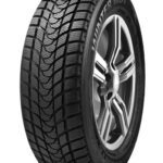 DELINTE WD1 185/65 R14 86H